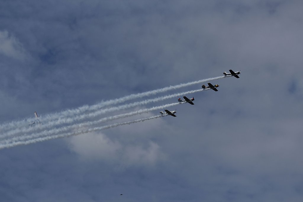YAK-50-Aerostars-l.jpg
