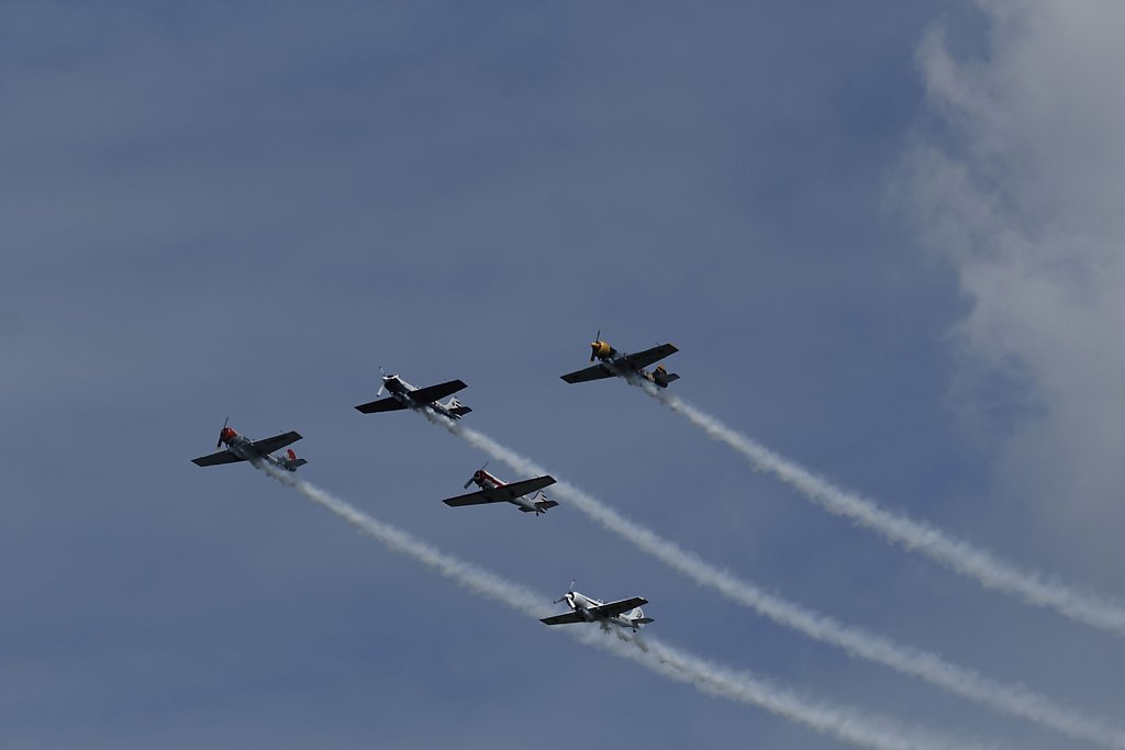 YAK-50-Aerostars-m.jpg
